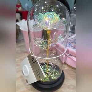 Iridescent Rose in Glass Dome